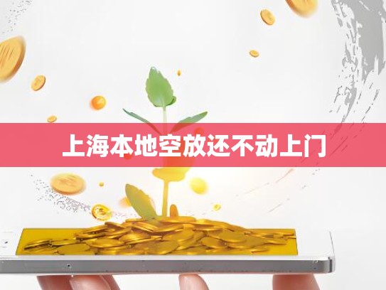 上海本地空放还不动上门