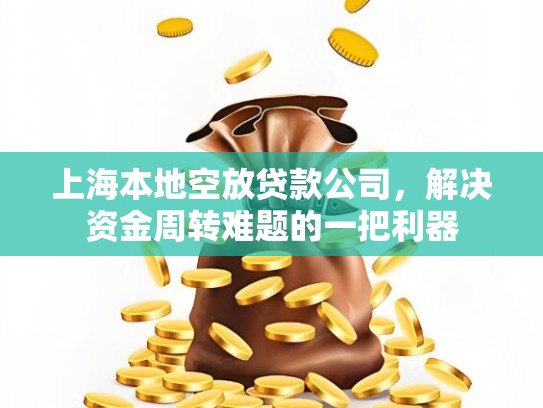 上海本地空放贷款公司，解决****难题的一把利器