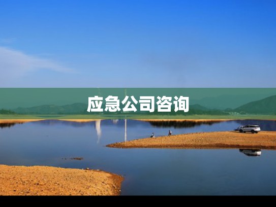 公司业务咨询
