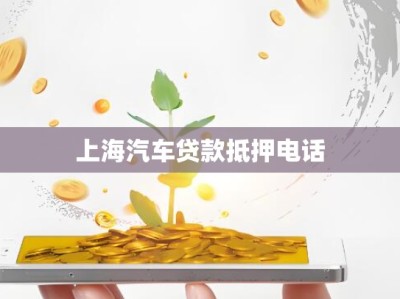 上海汽车贷款抵押电话